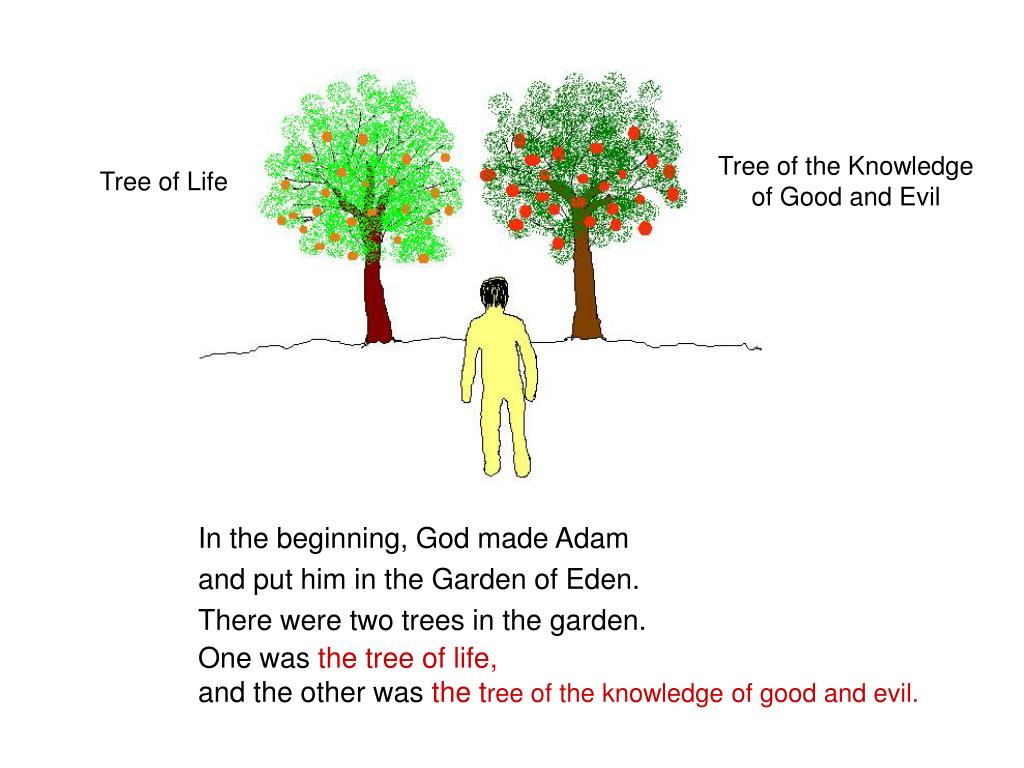 Ppt Basic Principles Of The Bible Two Trees Powerpoint