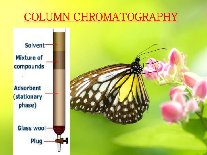 chromatography column ppt slideshare presentation powerpoint