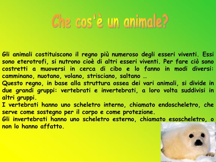 Ppt Che Cos E Un Animale Powerpoint Presentation Free Download Id