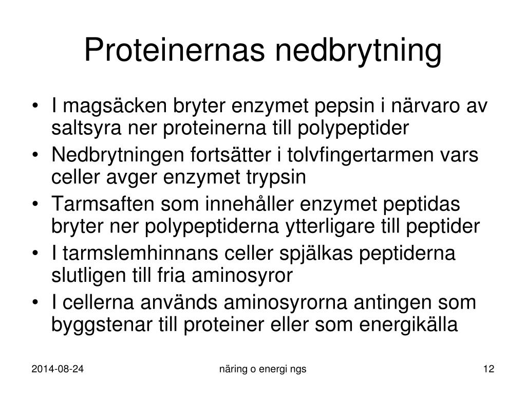 PPT - Näring och energi PowerPoint Presentation, free download ...