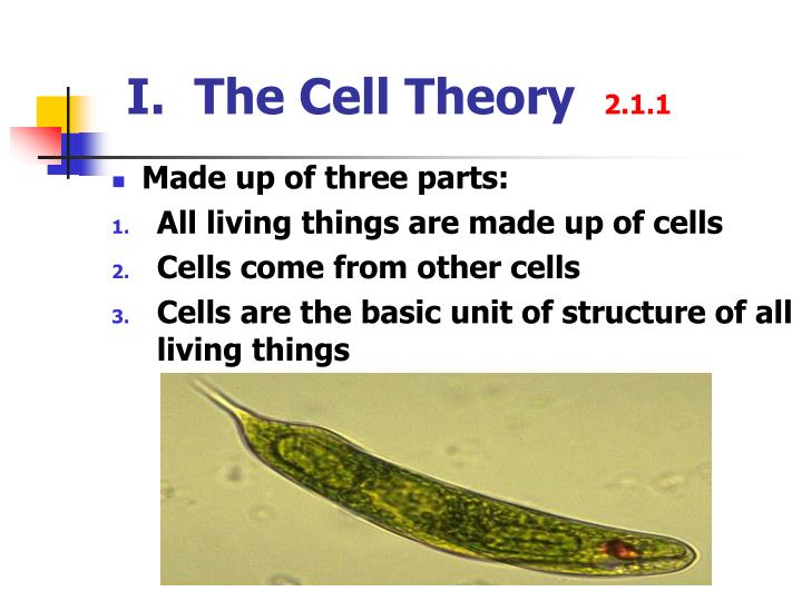 Ppt cells powerpoint presentation id 3507367