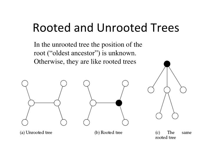 PPT - Sequence Alignment and Phylogenetic Analysis PowerPoint ...