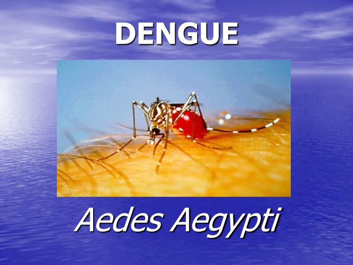 powerpoint presentation on dengue