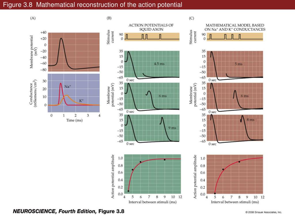 Padman in action: Electrically insulating phase change pad vs. Kryonaut -  Part II, igorsLAB