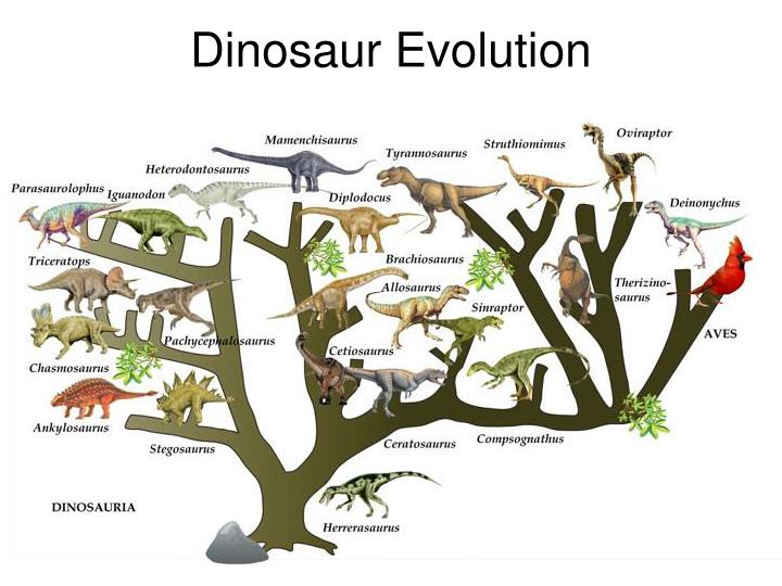 dinosaurs and evolution