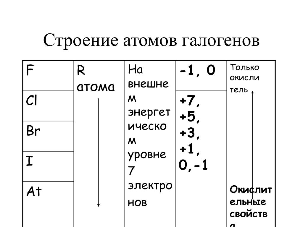 Атомы галогенов. Схемы строения атомов галогенов. Строение атомов галогенов и строение. Инертные ГАЗЫ строение атома. Строение электронного слоя атомов галогенов.