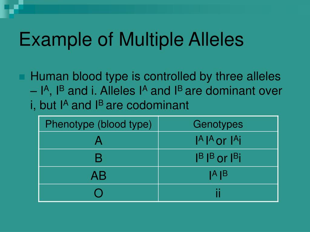 ppt-example-of-multiple-alleles-powerpoint-presentation-free-download-id-3517523