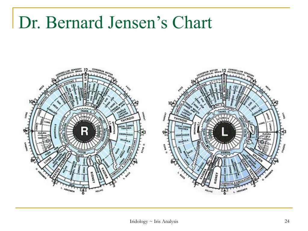Dr Bernard Jensen Iridology Chart