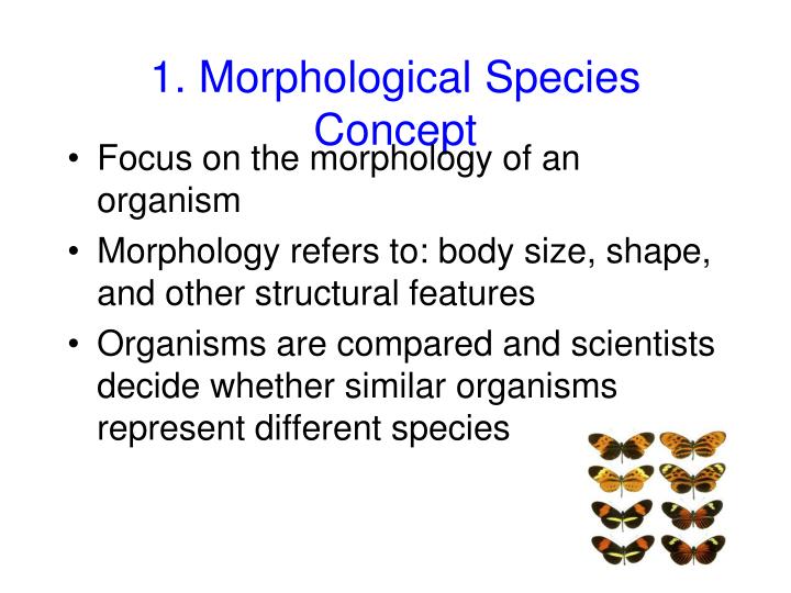 what is an advantage of using the phylogenetic species concept