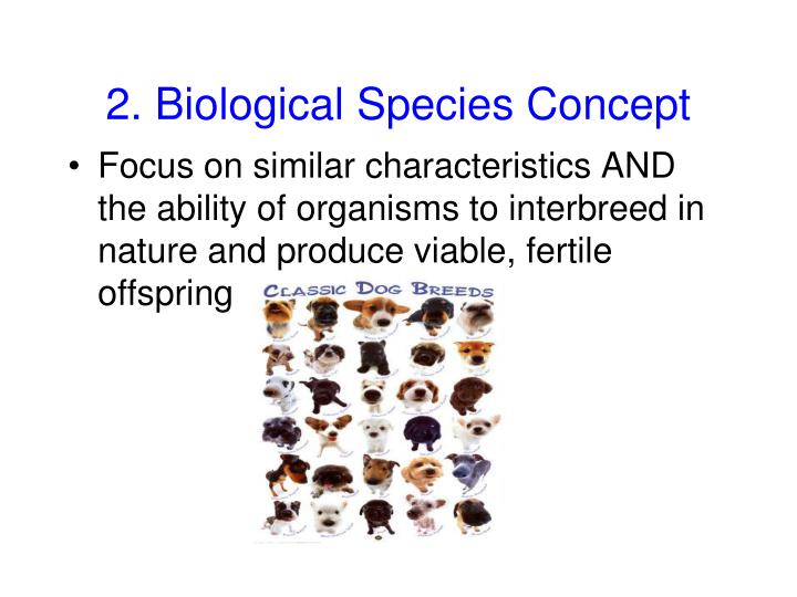 what is evolutionary species concept