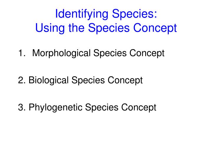 PPT - Identifying Species: Using the Species Concept PowerPoint