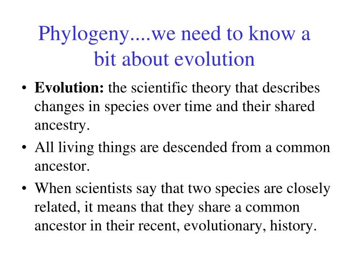 what are disadvantages of phylogenetic species concept