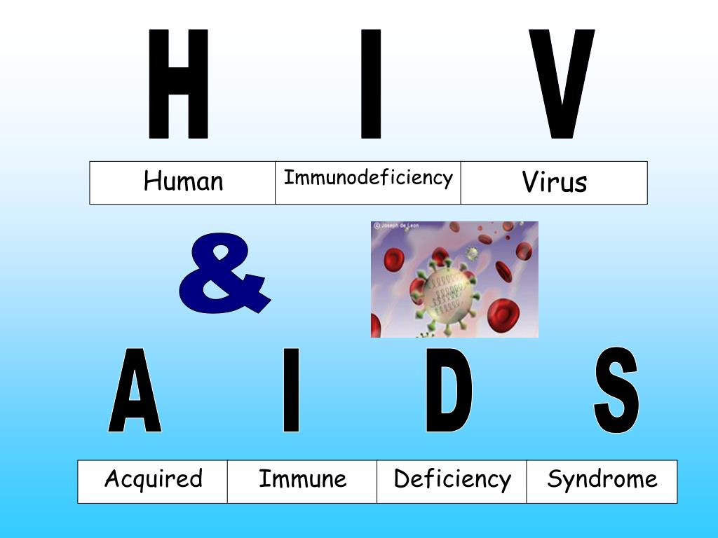 Human immunodeficiency. HIV and AIDS presentation. H HIV. Immune deficiency.