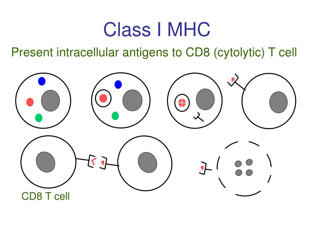 PPT - The biology of HIV PowerPoint Presentation, free download - ID ...
