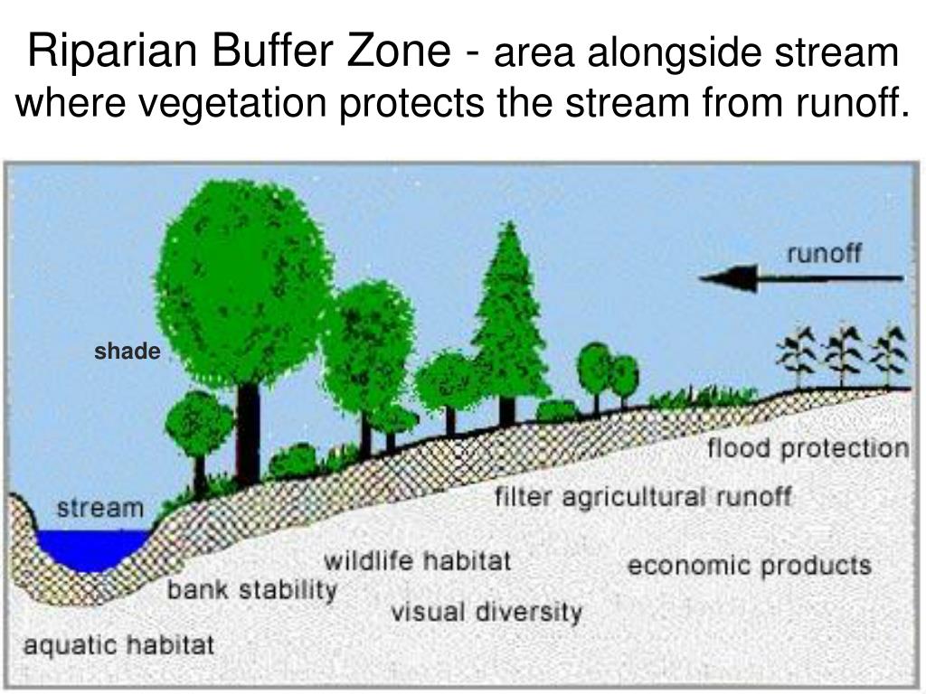 PPT - Water PowerPoint Presentation, free download - ID ... marsh diagram 