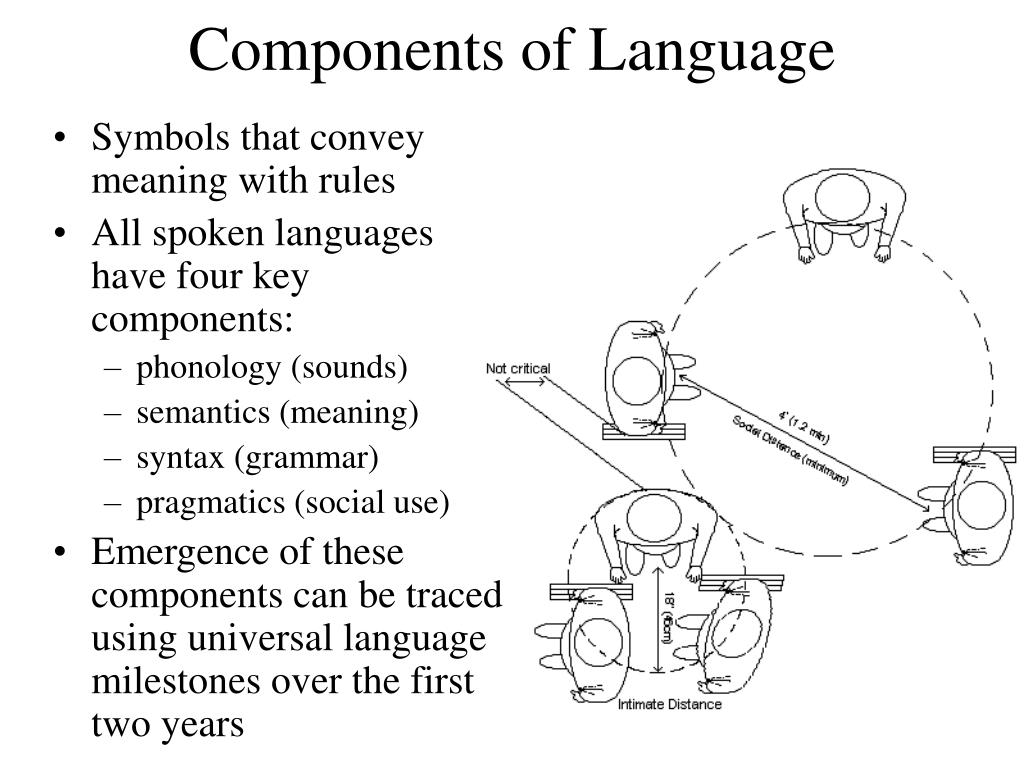 4 Components Of Language