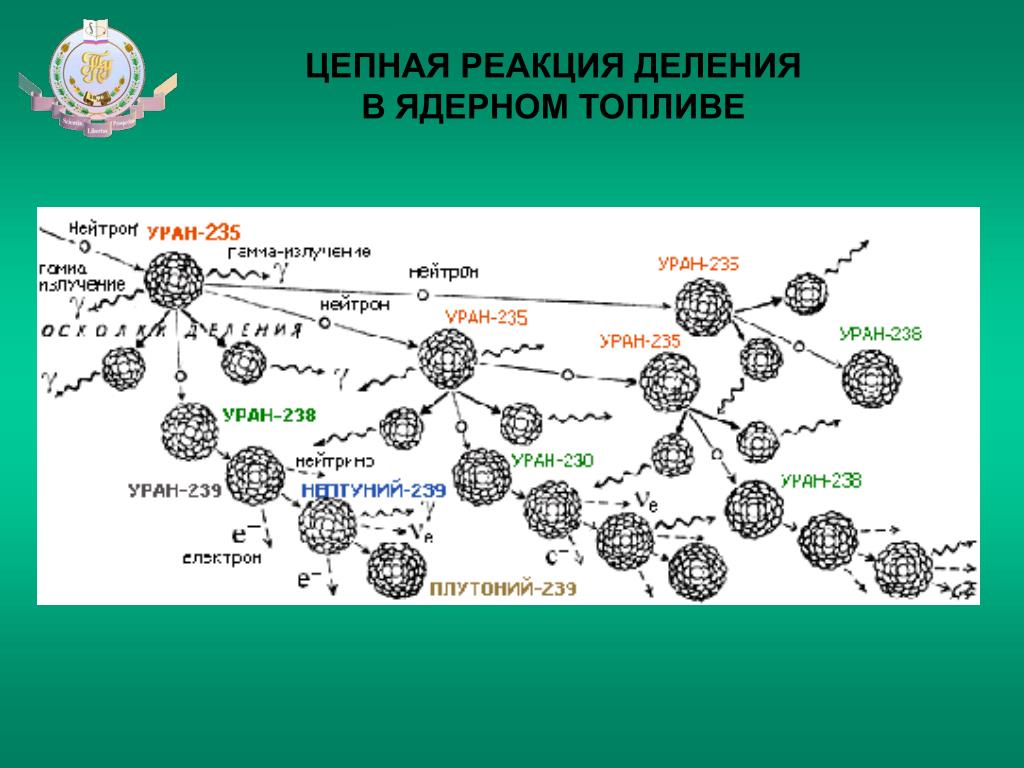 Какими нейтронами делится уран 235. Деление ядра урана 238. Цепная реакция плутония 239. Ядерная реакция плутония 239. Цепная реакция деления ядер плутония-239.