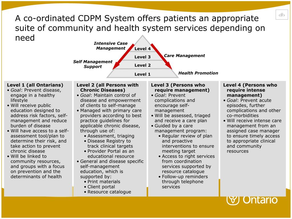 PPT - Ontario’s Chronic Disease Prevention and Management Framework ...