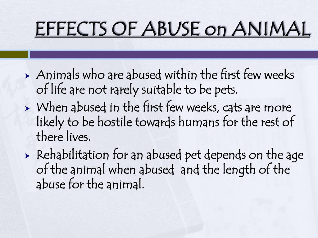 PPT - ANIMAL CRUELTY PowerPoint Presentation, free download - ID:3526366