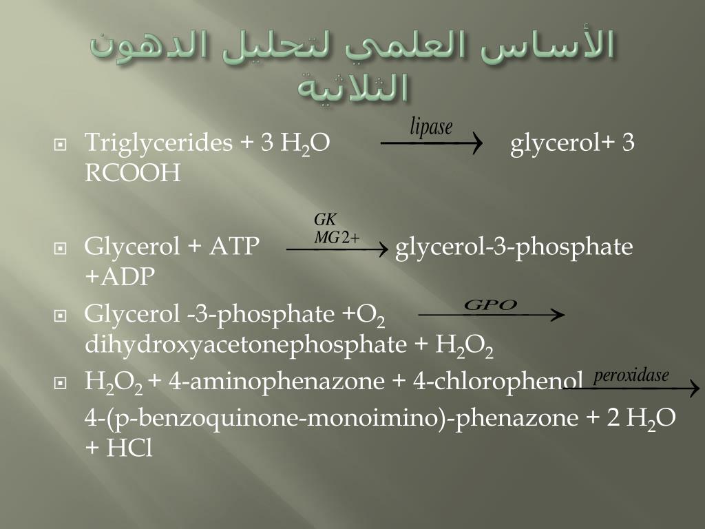 Triglycerides تحليل