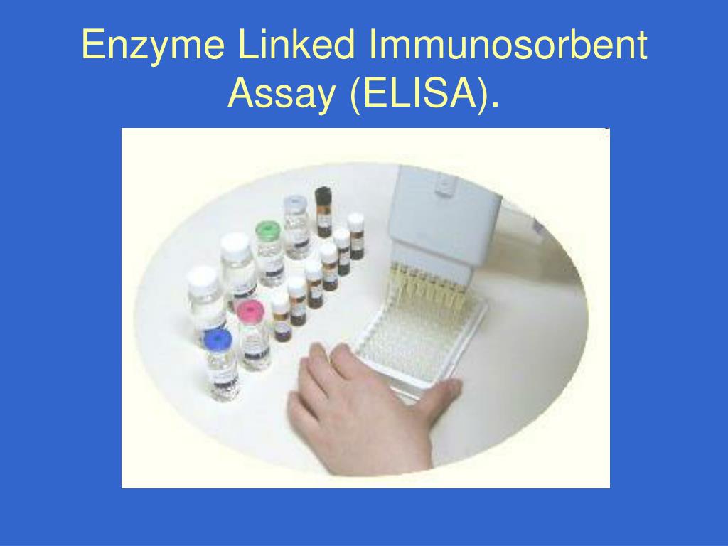 PPT Enzyme Linked Immunosorbent Assay ELISA PowerPoint 