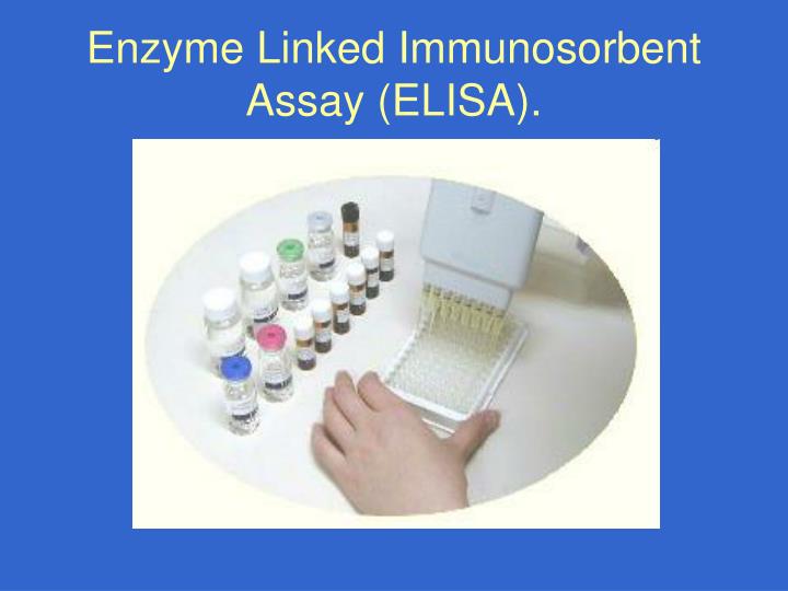 Ppt Enzyme Linked Immunosorbent Assay Elisa Powerpoint Presentation Id3530694