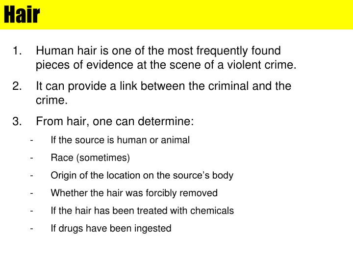 PPT - Hair PowerPoint Presentation, free download - ID:3531073 PPT - Hair PowerPoint Presentation, free download - ID:3531073