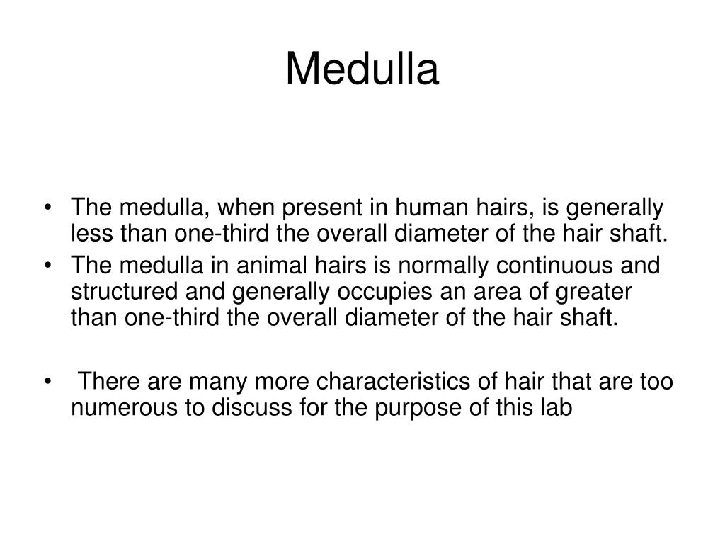 PPT - Forensics of Hair Analysis PowerPoint Presentation, free download