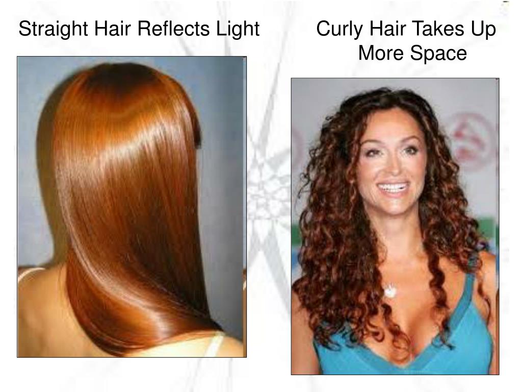 PPT - Hair Design PowerPoint Presentation, free download - ID:3531533 PPT - Hair Design PowerPoint Presentation, free download - ID:3531533