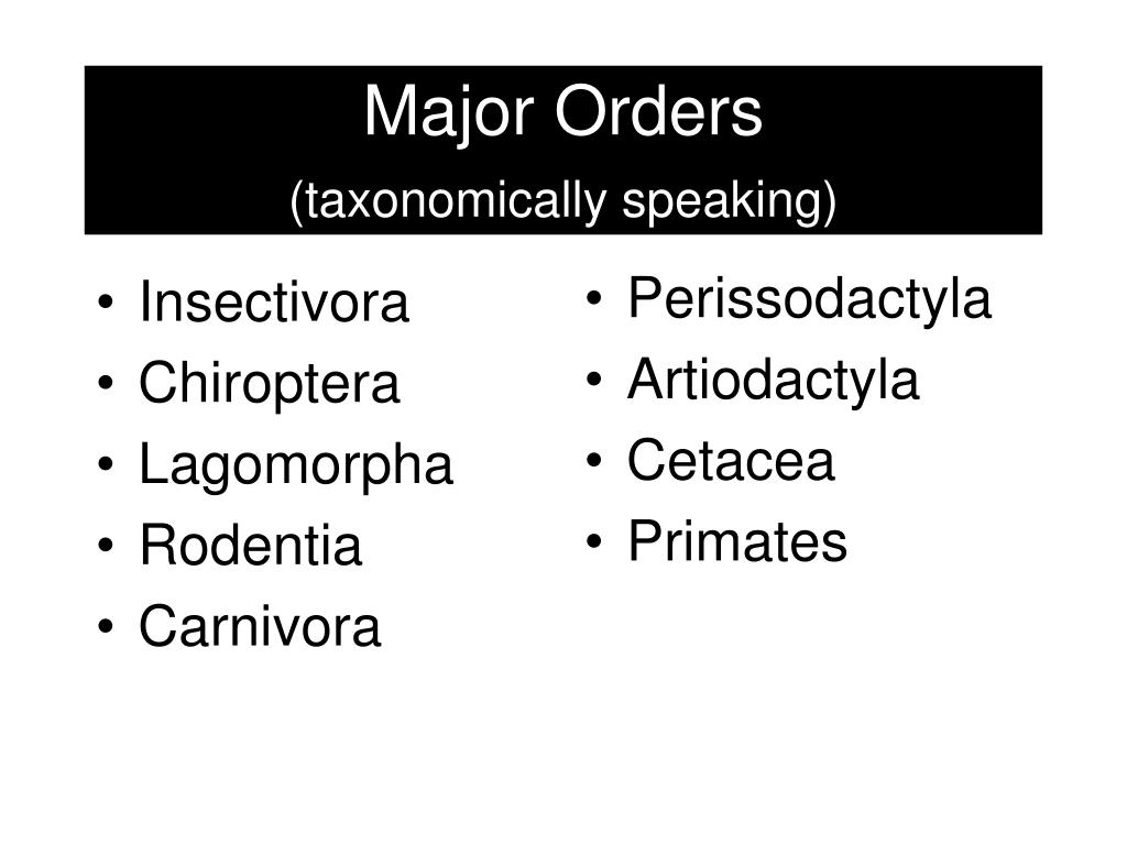 Image showcasing PPT - EUTHERIAN MAMMALS = PLACENTAL MAMMALS PowerPoint Presentation ...