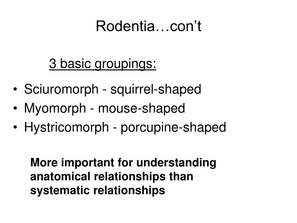 A closer look at 1 Most Eutherian Placental Mammals