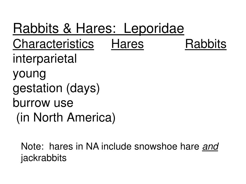 Image showcasing PPT - EUTHERIAN MAMMALS = PLACENTAL MAMMALS PowerPoint Presentation ...