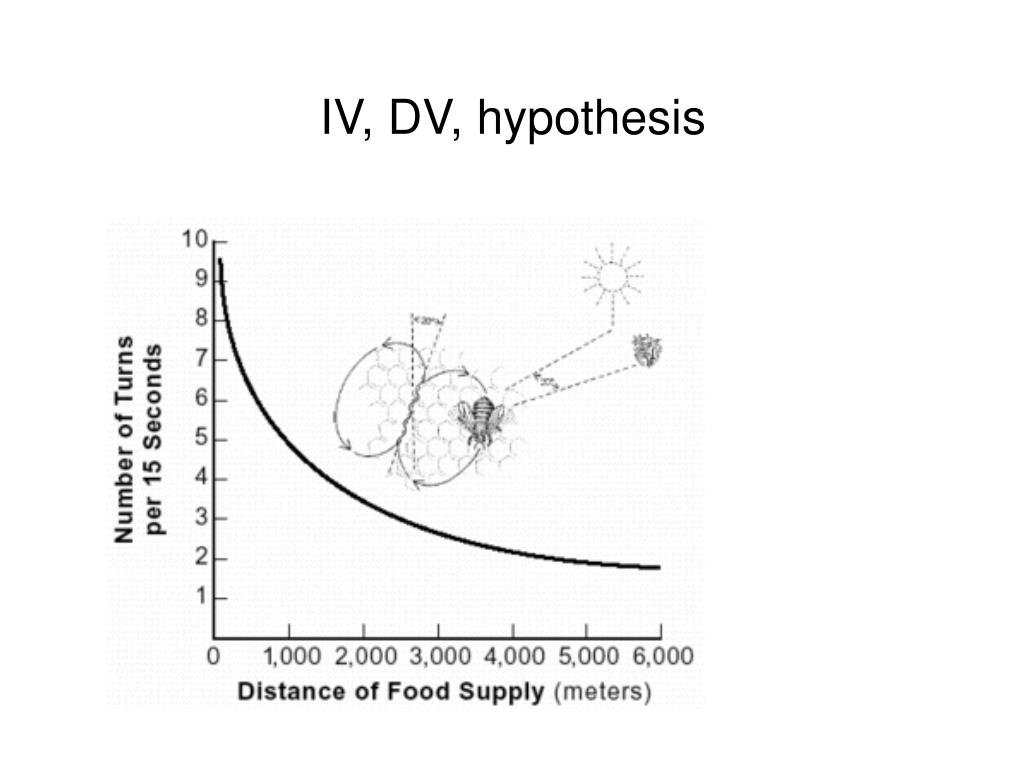 hypothesis generator iv and dv