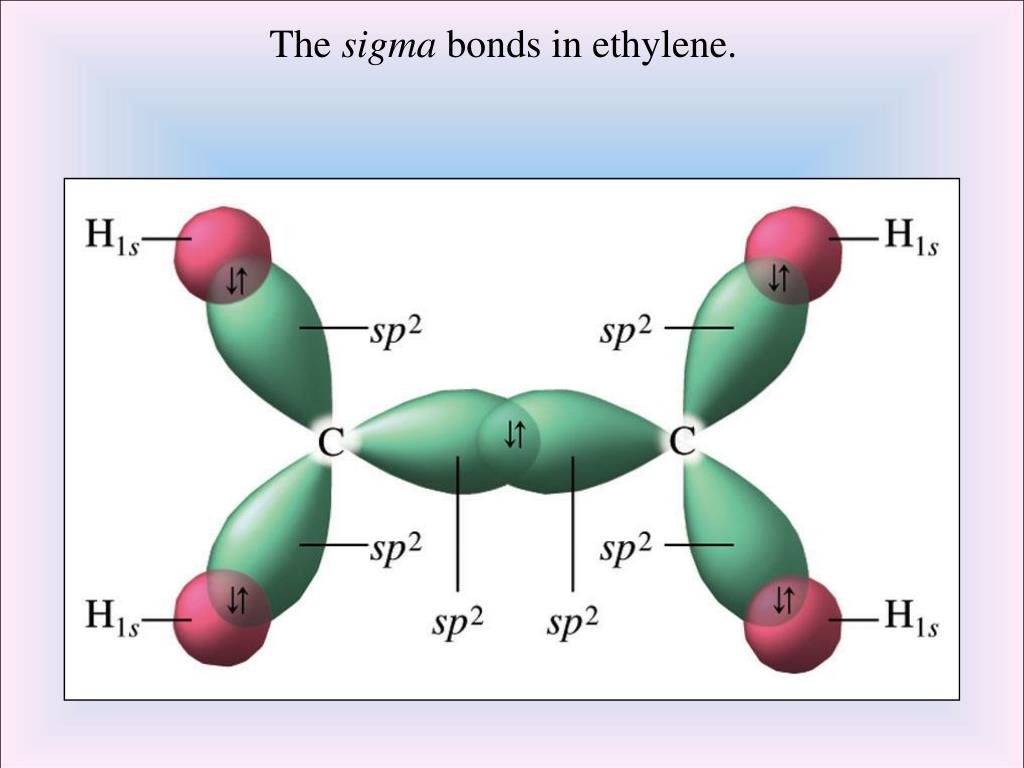 describe one type of a sigma bond describe one type of a sigma bond