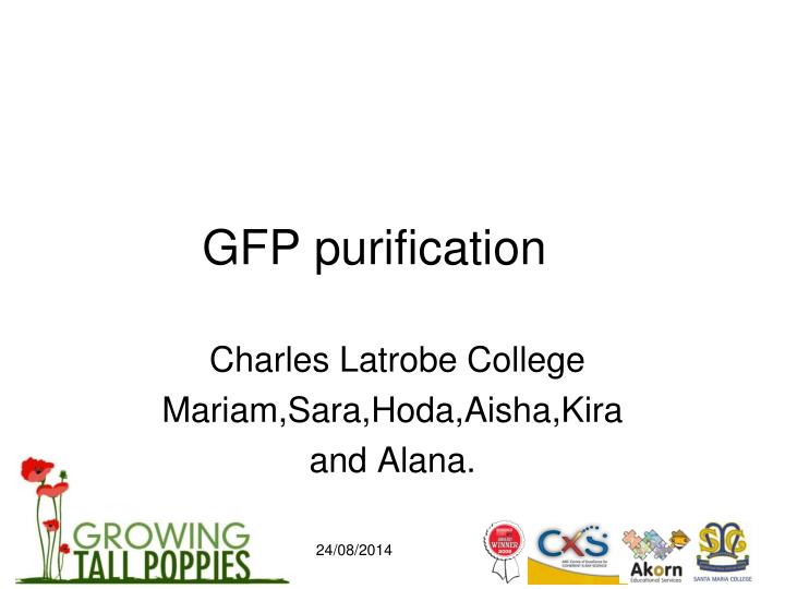 gfp purification n.