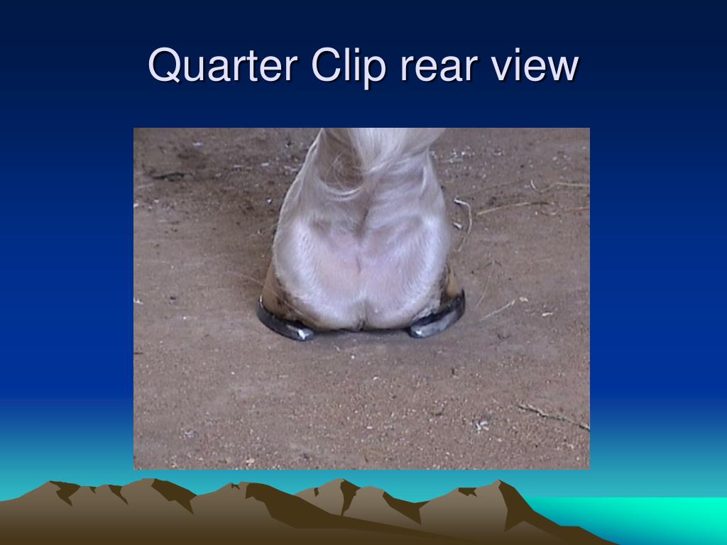 PPT Shoeing the Dressage Horse PowerPoint Presentation, free download