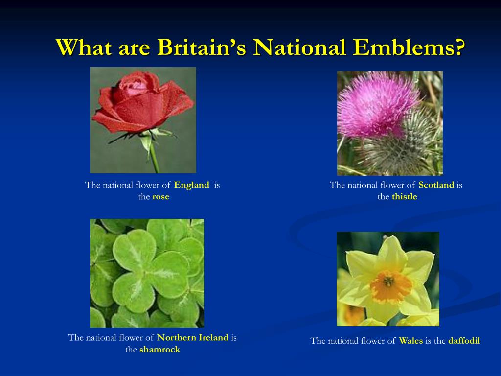 Ppt The United Kingdom Of Great Britain And Northern Ireland