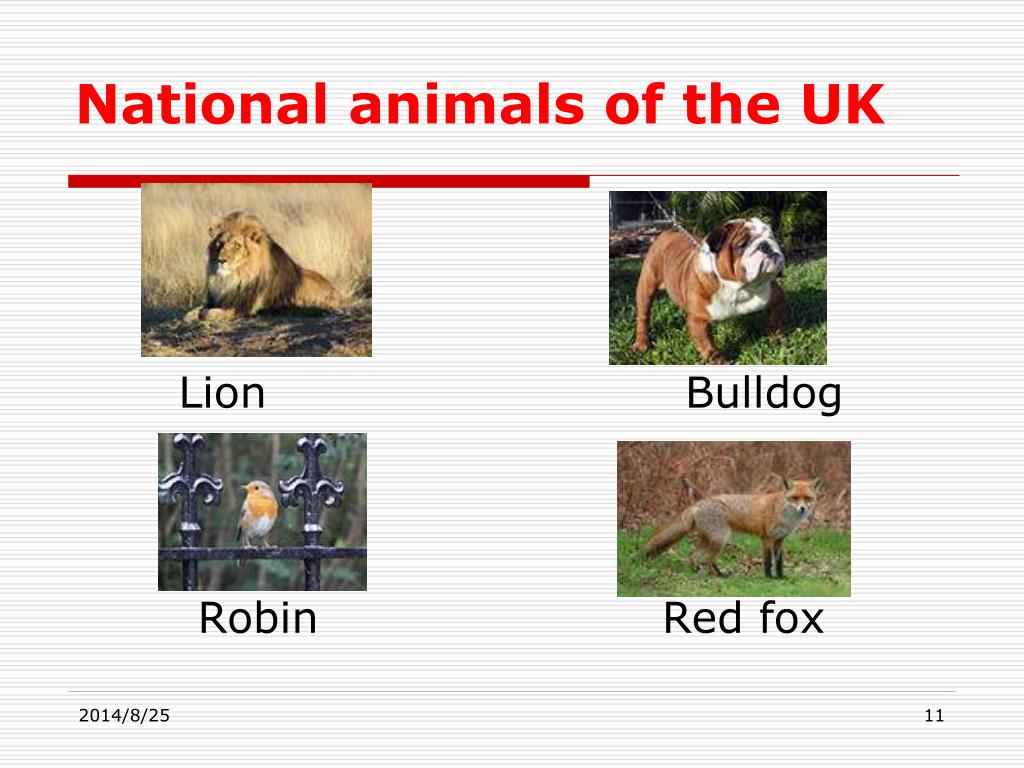 PPT - Geography of the UK PowerPoint Presentation, free download -  ID:3538556