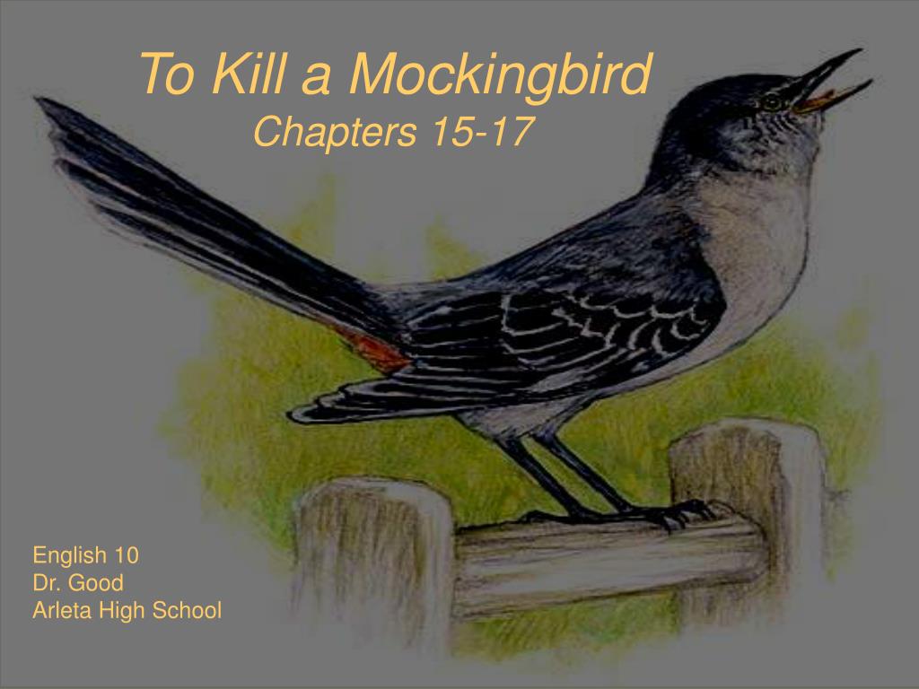 to kill a mockingbird chapter 15 questions and answers