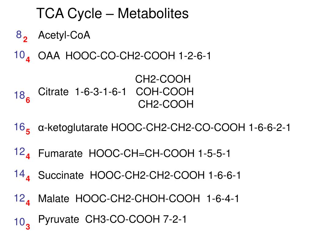 Hooc ch. Hooc ch2 4cooh структурная формула. Hooc co ch2 Cooh название. Hooc-ch2-co-ch2-Cooh название. Hooc ch2 ch2 Cooh классификация.