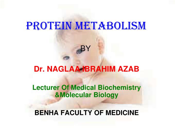 protein metabolism n.