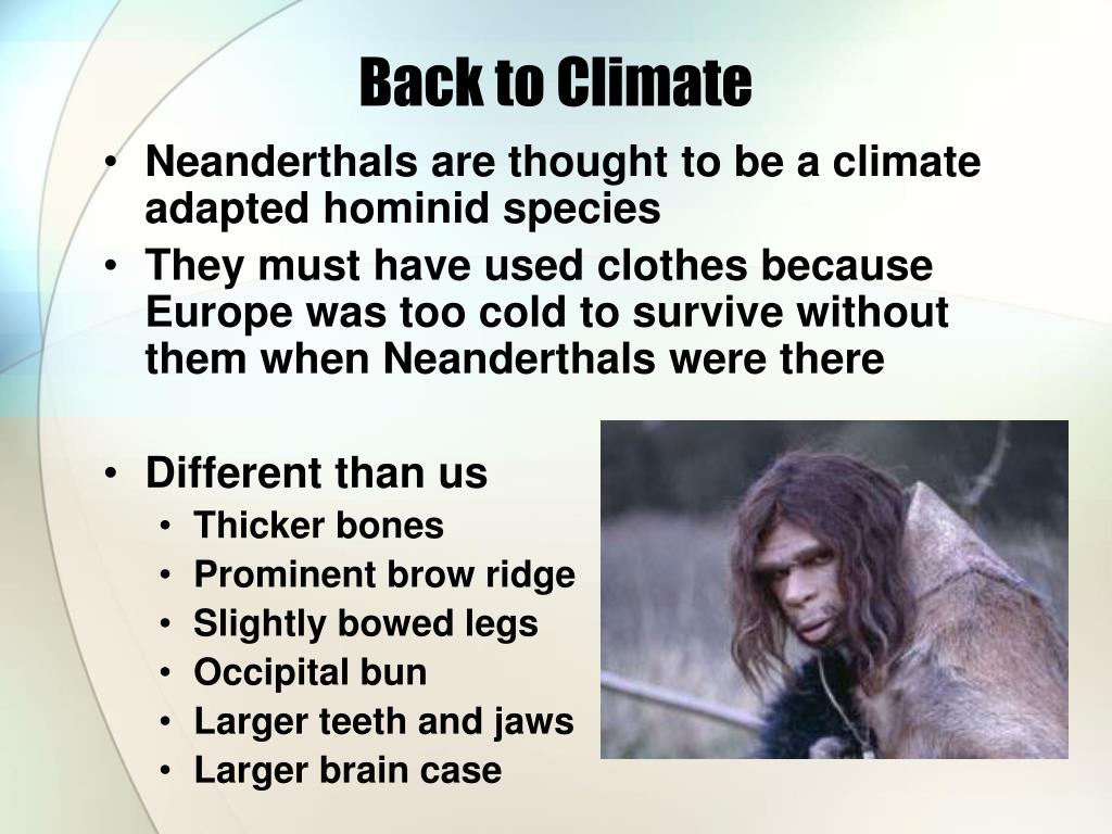 PPT - Neanderthal PowerPoint Presentation, free download - ID:3543692
