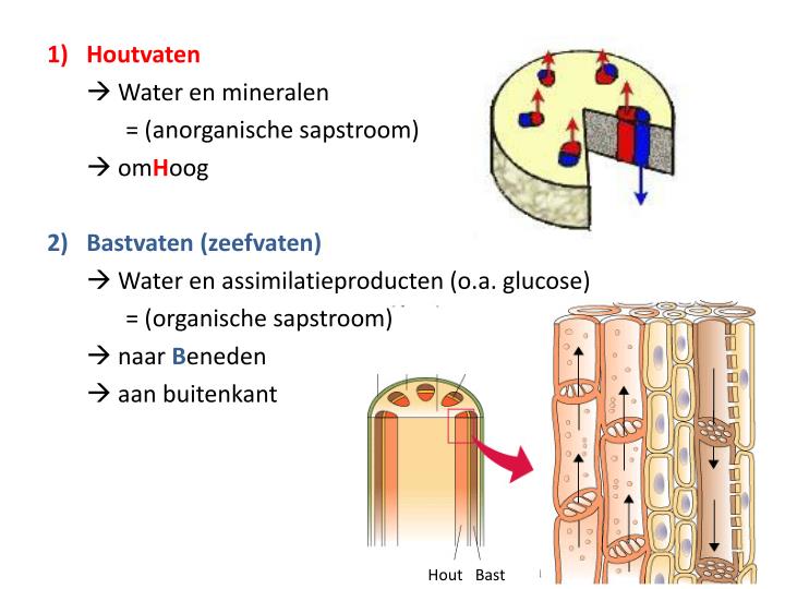 De bronafbeelding bekijken