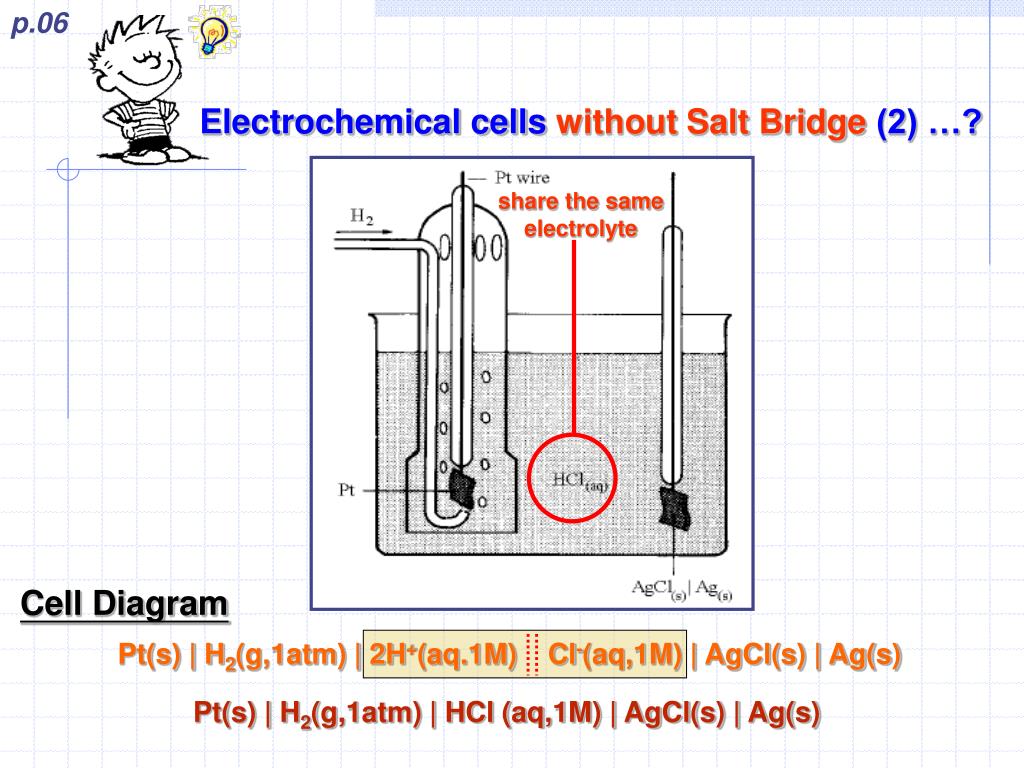 PPT REDOX EQM Standard Hydrogen Electrode and Measurement of