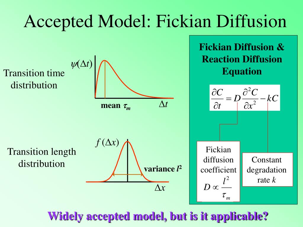 PPT - Morphogen Gradient Formation through Interactions with HSPG: An  Anomalous Diffusion Model PowerPoint Presentation - ID:3546724