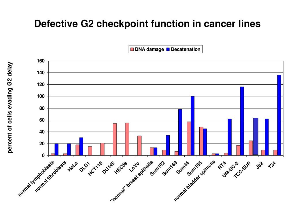 TYPES OF GENETIC INSTABILITY IN CANCER PowerPoint Presentation ... Biology Diagrams