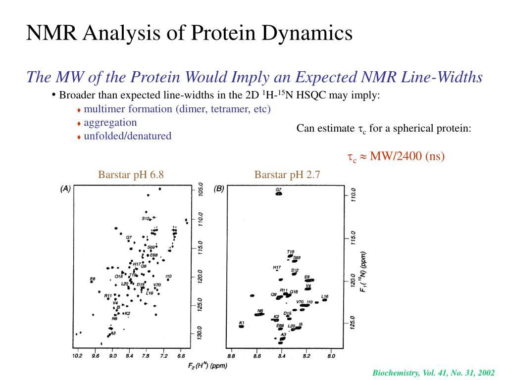 NMR Analysis of Protein Dynamics.