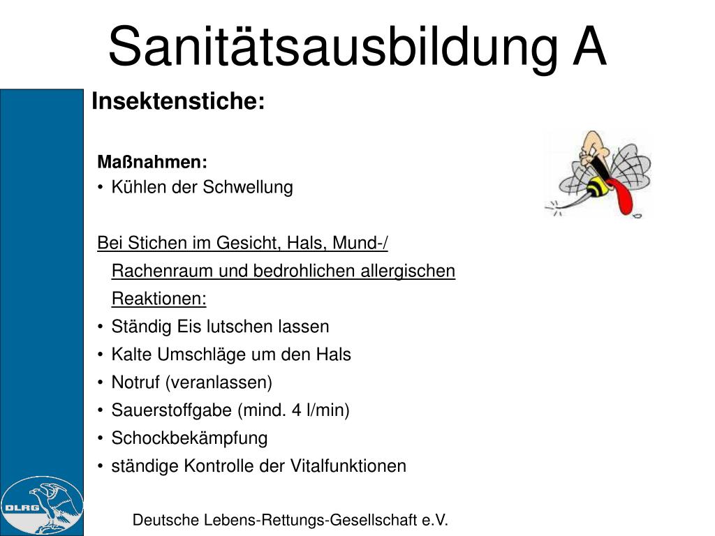 PPT - Sanitätsausbildung A PowerPoint Presentation, free download -  ID:3548064