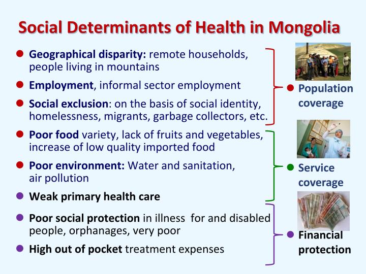 explain the main determinants of health Health care in the united states: an evolving system thomas p the third group represents 28 percent of the population whose main concern is access to health care. explain the main determinants of health Health care in the united states: an evolving system thomas p the third group represents 28 percent of the population whose main concern is access to health care.