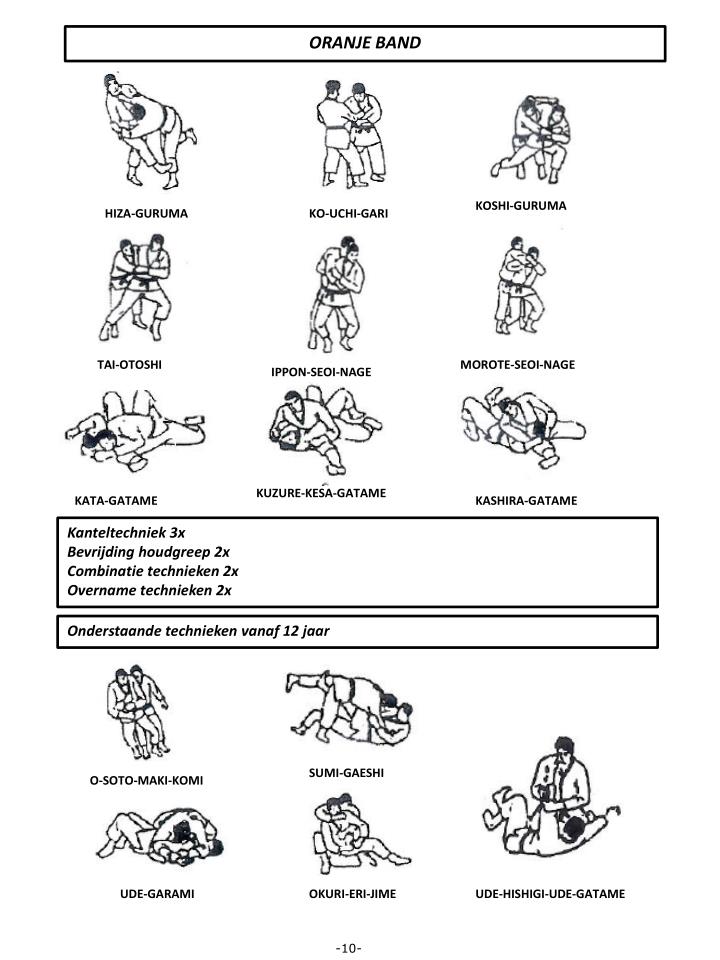 PPT - HIZA-GURUMA PowerPoint Presentation, free download - ID:3549521
